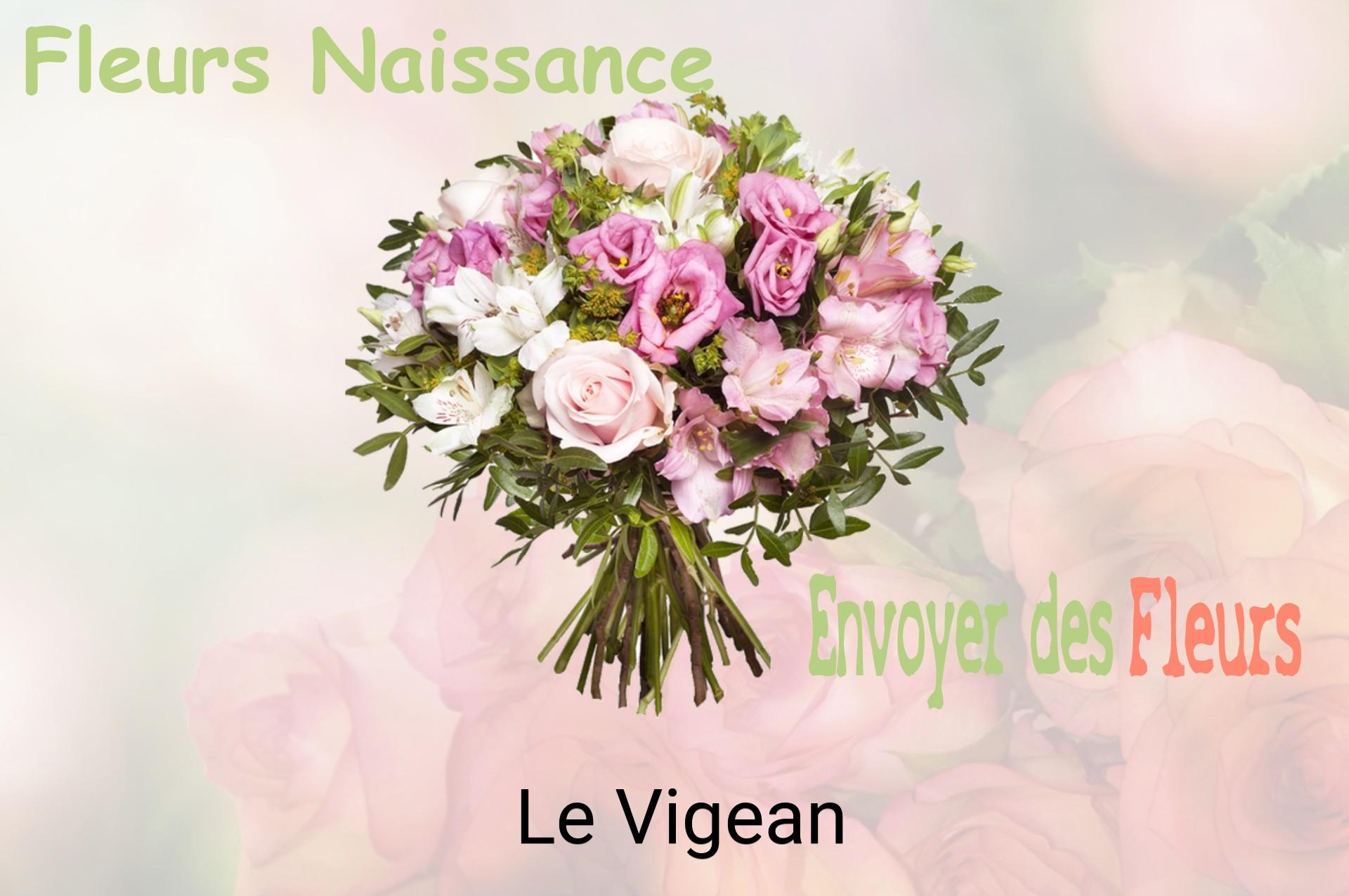 Bouquet de fleurs de naissance livré à Le Vigean